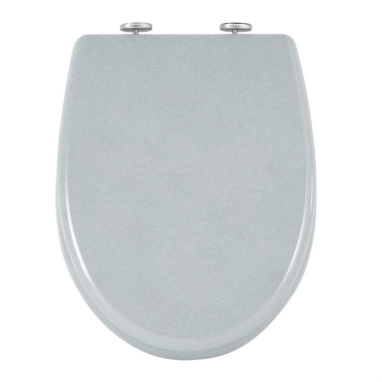 Belfry Bathroom Liddle Soft Close Round Standard Toilet Seat Wayfair